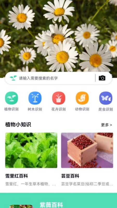 뻨԰v1.5 ٷ