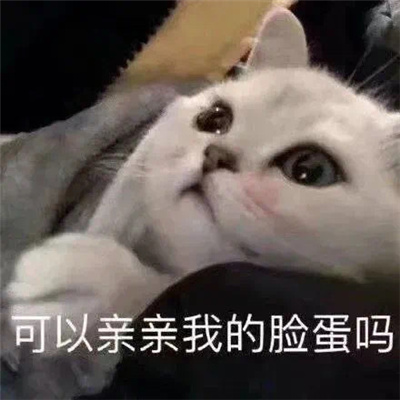 猛女表情包图片