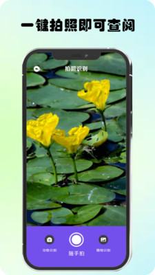 万物识图高手v1.1 安卓版