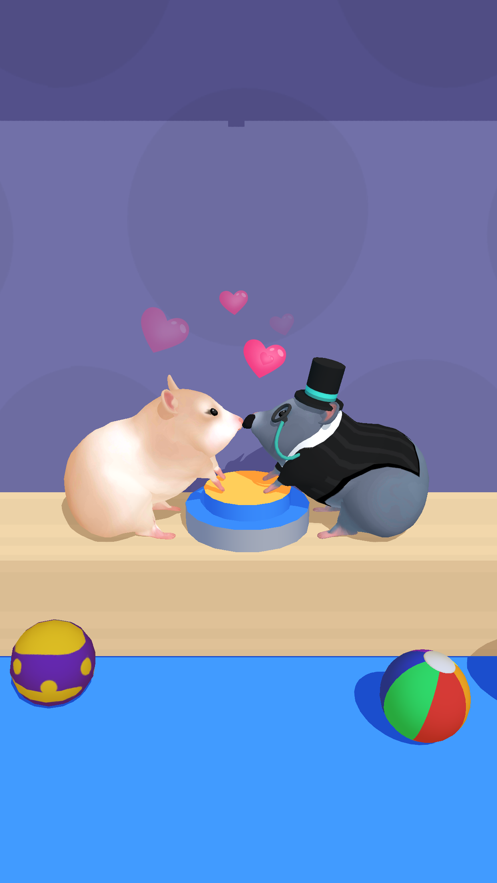 ս(Hamster Maze)v1.3.1 İ