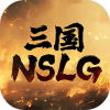 NSLGv1.1.0 °