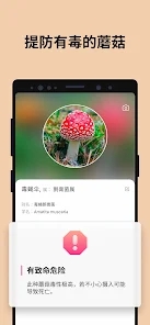 Picture MushroomĢʶɨһɨv2.9.1 ׿