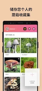 Picture MushroomĢʶɨһɨv2.9.1 ׿