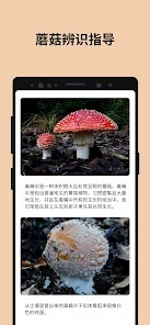 Picture MushroomĢʶɨһɨv2.9.1 ׿