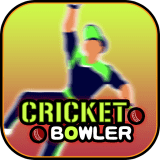 棒球投球手Cricket Bowlerv1.0 安卓版