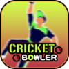 ͶCricket Bowlerv1.0 ׿