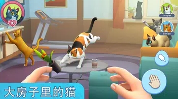 ҵĳèģ(My Pets Cat Simulator)