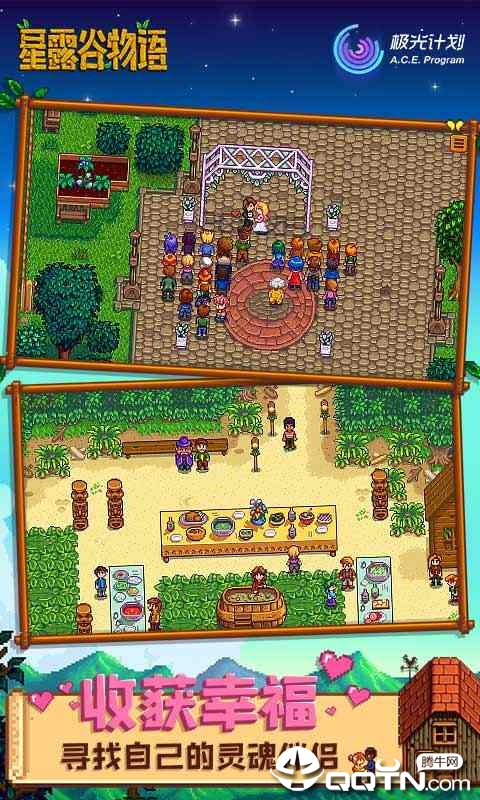 stardewvalley