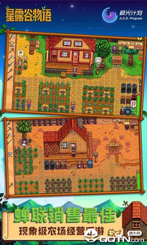 stardewvalley