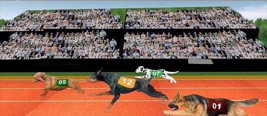 ģDog Racing Pet Race Simulatorv1.9 ׿