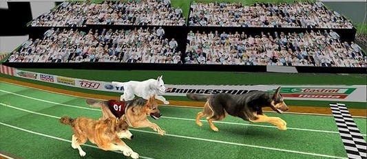 ģDog Racing Pet Race Simulatorv1.9 ׿