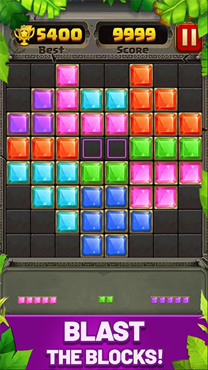 ľƴͼػ(Block Puzzle Guardian)v2.3.13 ׿