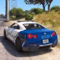 现代驾驶考试(NYPD Car Games Driving Test 3D)v0.1 安卓版