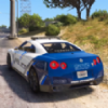 ִʻ(NYPD Car Games Driving Test 3D)v0.1 ׿