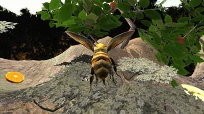 䳲ģ3d(Bee Nest Simulation 3D)v1.0.1 ׿