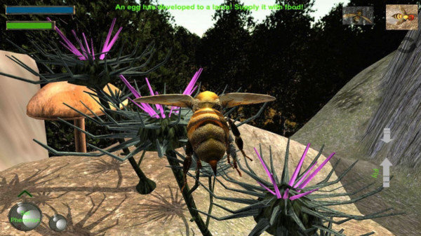 䳲ģ3d(Bee Nest Simulation 3D)v1.0.1 ׿