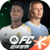 EA SPORTS FC紴԰v25.1.02 ׿