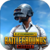 ������Ĵ̼�ս��(PUBG MOBILE)v2.8.0 ��׿��