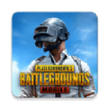 地铁逃生国际服丧尸横行（PUBG MOBILE）v2.8.0 安卓版