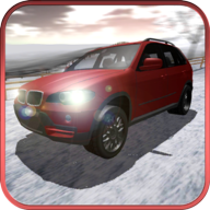 ѩSnow Rally Championv1.0 ׿