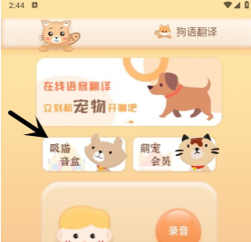 米度猫语翻译