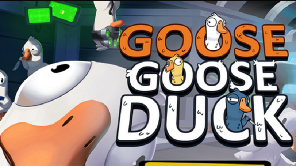 goosegooseduckֻv3.08.00 °