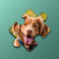 宠物狗狗的拼图挑战(Dogs Mania Jigsaw Puzzles)v1.0 安卓版