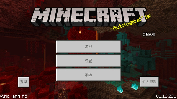 Minecraft(ҵĩ100)v1.16.221.01 ֻ