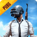 pubgʰ(PUBG MOBILE)v3.6.2 °