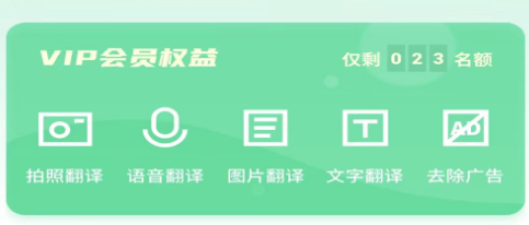 极致语言翻译器app