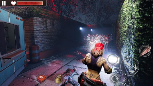 丧尸枪手3D(Zombie Shooter 3D)