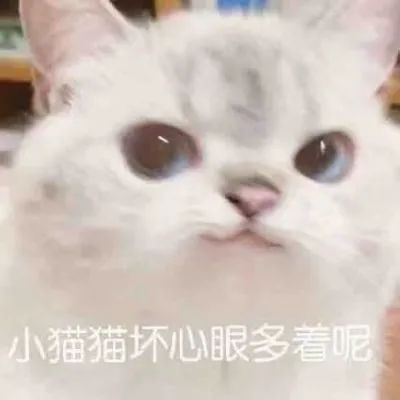 每天都会用到的很多快乐的表情 小猫猫坏心眼多着呢