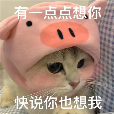 发给男朋友的可爱猫咪表情包 有点想你快说你也想我