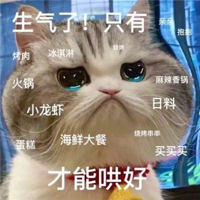 新版超好用的趣味猫咪表情包 我常因为不够变态而和你们格格不入