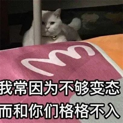 新版超好用的趣味猫咪表情包 我常因为不够变态而和你们格格不入