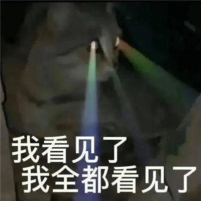 新版超好用的趣味猫咪表情包 我常因为不够变态而和你们格格不入