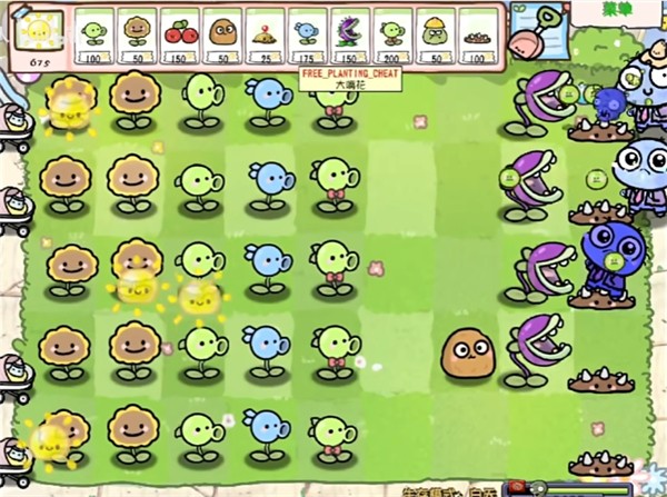 pvz׶԰