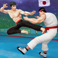 Ƕӿֵս(Karate Fighter)v3.4.8 ׿