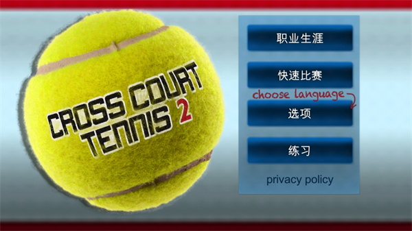 2(Cross Court Tennis 2)