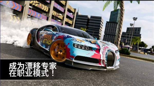 Ưר޸棨Drift Max Pro