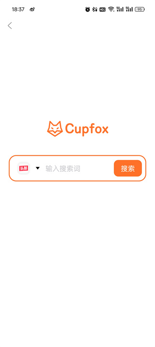 茶杯狐 Cupfox