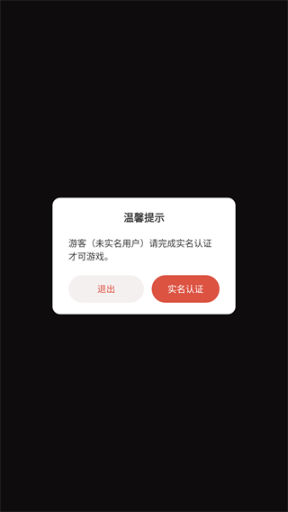 闲置大亨CEO