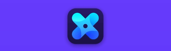 X Icon Changer°