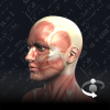 3d anatomyv1.0.0 ׿