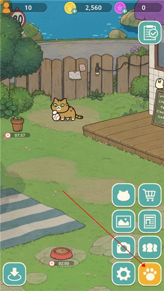 神秘猫咪字典游戏 神秘猫咪字典游戏