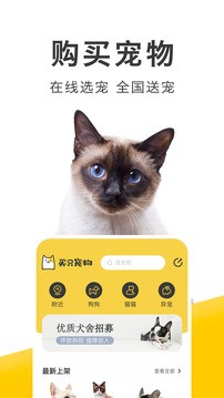 ֻﰲ׿v4.5.9