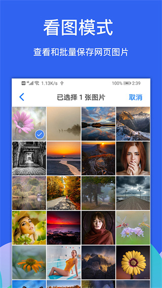 Alookv11.0 ׿