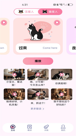 ȳèֻv1.0.3