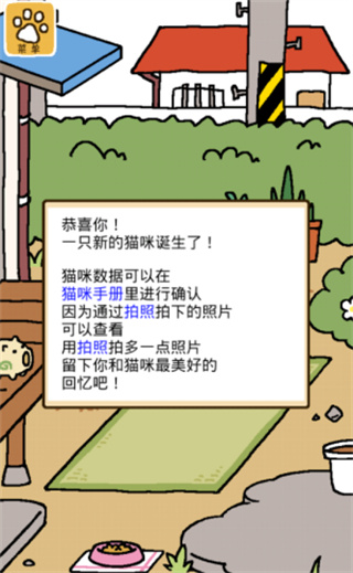 猫咪后院2中文版下载 猫咪后院2中文版下载