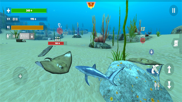 20251125174518441530.jpg 20251125174518441530.jpg